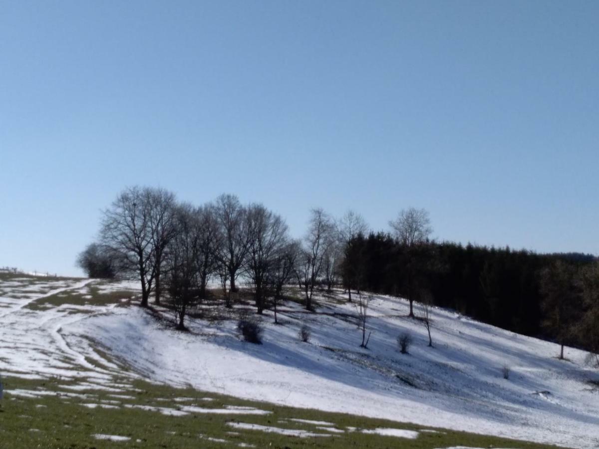 Oh Deer! Apartment Vaux-sur-Sure Bagian luar foto